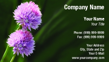 Featured Designs | Floral | Garden | Nature | Trades |--| Allium Schoenoprasum | Aromatic | At245152 | Botanical | Botany | Bunch | Chive | Cuisine | Cultivated | Fla | Flower | Healthy | Herbaceous | Herbal | Herbs | Image | Ingredient | Jolanta Mayerberg | Leaves | Natural | Organic | Plant | Spice