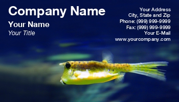 Featured Designs |--| Animal | Aquarium Maintenance | Aquariums | At245241 | Colorful | Deep | Fish | Fish Hatchery | Image | Jolanta Mayerberg | Salt Water | Sea | Trade | Tropical Fish Servicing | Underwater | Water | Wildlife