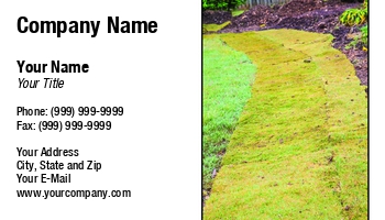 Featured Designs |--| At245442 | Darryl Brooks | Gardening | Grass | Ground | Soil | Weed