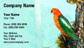 Animals | Featured Designs | Nature |--| Animal Care | Animal Rescue | At245854 | Aviary | Beak | Birds | Branch | Colorful | Darryl Brooks | Exotic | Feather | Image | Macaw | Parrot | Pet | Pet Food | Pet Portrait | Pet Shop | Siting | Veterinary Assistant | Veterinary Technician | Wildlife | Zoo