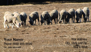 Farm | Featured Designs |--| At245960 | Australian | Cattle | Fritz Hiersche | Grassland | Herd | Image | Island | Land | Landscape | Livestock | Pet | Sheep | Sheepskin Specialties | Wool