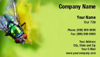 Featured Designs | Nature |--| Animal | At246020 | Bug | Creepy | Entomologist | Fly | Fly Insect | Image | Insect | Jolanta Mayerberg | Pest | Wildlife | Wing