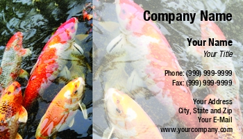 Featured Designs | Hospitality | Sports | Swimming |--| Animal | Aquarium | Aquarium Maintenance | Aquariums | At246112 | Dinner | Fish | Fish Hatchery | Fish Restocking | Fishes | Goldfish | Image | Jolanta Mayerberg | Koi | Life | Pond | Servicing | Tank | Tropical | Water