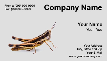 Featured Designs | Wild |--| Animal | Arthropod | At246158 | Bug | Creature | Entomologist | Grasshopper | Hopper | Image | Insect | Invertebrate | Locust | Macro | Tim Hester