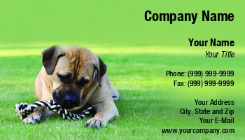 Featured Designs |--| Animal | At246299 | Beagle | Boerboel | Breed | Canine | Dog | Dog Sitting | Image | Jolanta Mayerberg | Lawn | Mammal | Mobile Pet Grooming | Pet Food | Pet Grooming Supplies | Pet Hotel | Pets | Portrait | Sitting