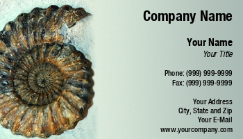 Featured Designs |--| Ancient | At246301 | Cut | Evolution | Fossil | Half | Historical | Historical Organization | Image | Jolanta Mayerberg | Mineral | Mollusk | Nautilus | Paleontologist | Prehistoric | Sea | Shell | Snail | Spiral | Stone | Texture