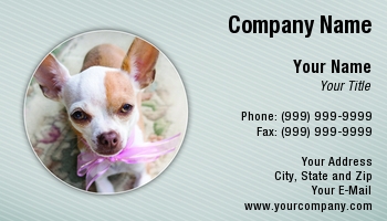 Featured Designs |--| Adorable | Animal | At246385 | Beast | Breed | Canine | Chihuahua | Cute | Dog | Head | Image | Maria Bell | Pet | Pet Portrait | Pink | Puppy | Ribbon