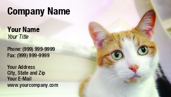 Animals | Domestic | Featured Designs |--| Animal | At246386 | Beautiful | Cat | Feline | Furry | Image | Kitten | Mammal | Maria Bell | Mobile Pet Grooming | Pet | Pet Food | Pet Grooming Supplies | Whiskers