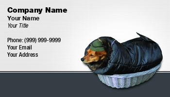 Featured Designs |--| At246460 | Coat | Diving Suit | Dog | Dog Product | Dog Supplies | Fritz Hiersche | Game | Hat | Image | Innsbruck | Laid | Obedient | Pet | Style | Wearing | Wrap