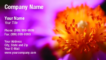 Beauty | Featured Designs | Floral | Garden | Nature | Trades |--| At246521 | Beautiful | Bloom | Blossom | Bouquet | Buds | Cistus | Colorful | Floret | Florist | Flower | Henrik Lehnerer | Image | Macro | Orchid | Plants | Purpureus | Wildflower
