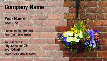 Featured Designs | Floral | Nature |--| Architecture | At246972 | Background | Basket | Beautiful | Blooming | Blossom | Brick | Bunch | Colorful | Decoration | Florist | Flowerpot | Flowers | Gardening | Gorgeous | Hanging | Image | Luis Santos | Ornamental | Picturesque | Plant | Pot | Potted | Primula | Wall | Wall Covering