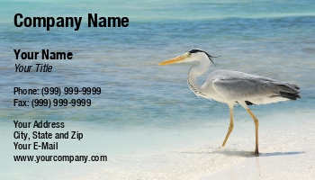 Featured Designs | Nature | Ocean |--| Animal | At246983 | Beak | Beautiful | Bird | Feathers | Heron | Luis Santos | Maldives | Marine Biology | Pet | Sandy | Scene | Sea | Tropical | Wildlife | Zoology