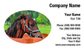 Featured Designs |--| Animal | At247189 | Horse | Horse Riding | Horse Trainer | Horse Training | Horseback Riding | Image | Karel Gallas | Mammal | Meadow | Pet | Racer | Stable | Zoo | Zoology