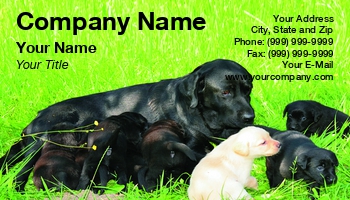 Featured Designs |--| Animal | Animal Broker | At247192 | Business | Canine | Card | Care | Companion | Dog | Dog Sitter | Dog Sitting | Doggy | End | High | Karel Gallas | Mammal | Mobile Pet Grooming | Mountain | Natural | Park | Pet | Pet Supplies | Puppy | Template