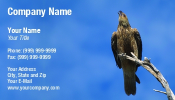 Featured Designs |--| Animal | At247308 | Bird | Branch | Eagle | Falcon | Fritz Hiersche | Haliastur Sphenurus | Hawk | Hunter | Image | Kite | Sitting | Sky | Tree | Whistling | Whistling Kite | Wildlife