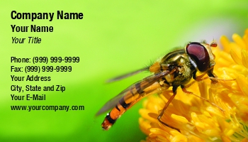 Beauty | Featured Designs | Nature |--| Animal | At247531 | Bee | Beetle | Bug | Collecting | Colorful | Entomologist | Flower | Fly | Honey | Image | Insect | Jolanta Mayerberg | Leaf | Plant | Pollen | Spring | Wildlife | Yellow