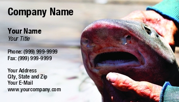 Featured Designs | Fishing | Nature | Ocean | Professional | Sports | Swimming | Trades |--| Animal | At247704 | Beast | Business | Carcharhinus | Creature | Dangerous | Fish | Hands | Henrik Lehnerer | Image | Jaw | Mammal | Man | Marine | Menacing | Monster | Mouth | Opening | Predator | Sea | Shark | Sharp | Teeth | Tropical