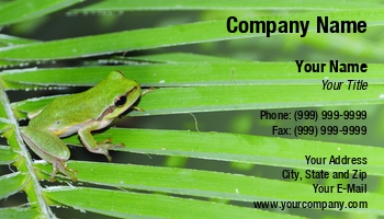 Featured Designs | Nature | Wild |--| Amphibian | Animal | At247756 | Card | Croak | Eco | Environment | Flora | Frog | Gecko | Great | Handlers | Iguana | Image | Leaf | Leaves | Lizard | Lovers | Luis Santos | Macro | Natural | Palm | Pet | Thoughtful | Tree | Tropical | Wildlife | Zoo | Zoologist | Zoology