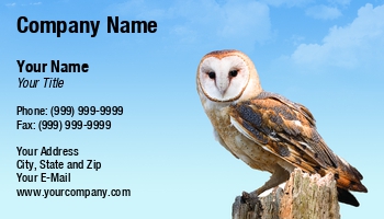 Featured Designs | Nature |--| Animal | At248051 | Avian | Barn Owl | Bird | Danger | Flying | Image | Michael Shake | Owl | Perching | Pet | Predator | Raptor | Sitting | Tree | Trunk | Wildlife