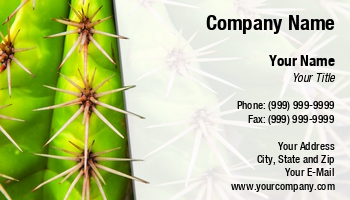 Desert | Featured Designs | Garden | Nature | Professional | Trades | Travel |--| At248270 | Barrel | Botanical | Cacti | Cactus | Close | Danger | Darryl Brooks | Decoration | Flora | Growth | Image | Natural | Plant | Prickly | Spike | Spiked | Succulent | Summer | Texture | Western | Wildlife