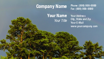 Featured Designs | Professional | Travel | Wild |--| At248346 | Branches | Clouds | Colorful | Dark | Darryl Brooks | Environment | Environmental | Evergreen | Forest | Green | Landscape | Natural | Photography | Pine | Rainbow | Scenery | Sky | Stormy | Tree | View | Weather