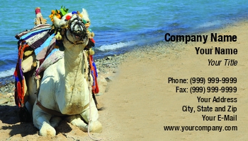 Beach | Desert | Featured Designs | Nature | Professional | Travel |--| Animal | At248549 | Bedouin | Camel | Climate | Coastline | Culture | Dry | Fun | Hump | Idyllic | Image | Jolanta Mayerberg | Mammal | Relaxation | Resort | Resting | Sand | Sea | Sky | Summer | Tourist | Traditional | Tranquil | Tropical | Wildlife