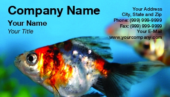 Featured Designs | Sports | Swimming |--| Alive | Aquarium | Aquarium Maintenance | Aquariums | At248664 | Atoll | Beautiful | Colour | Exotic | Fins | Fish | Fish Hatchery | Fishbowl | Fishtank | Henrik Lehnerer | Hobby | Image | Life | Marine | Marine Biology | Pet | Pet Food | Pet Shop | Sea | Swim | Tropical | Tropical Fish Servic