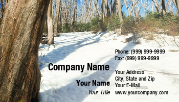 Featured Designs | Nature | Professional | Travel |--| At248750 | Background | Beautiful | Cold | Forest | Frost | Geology | Holiday | Ice | Image | Landscape | Mountain | Natural | Scene | Season | Seasons | Snow | Tim Hester | Tourism | Tourist | Trees | View | Winter | Wood