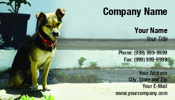 Animals | Domestic | Featured Designs | Nature |--| Active | Alone | Animal | Anticipation | At249206 | Canine | Culture | Dog | Dog Boarding Kennel | Fritz Hiersche | Homeless | Hunting | Image | Leash | Leather | Mammal | Obedience | Pedigree | Pet Hotel | Pet Portrait | Sitting | Terrier