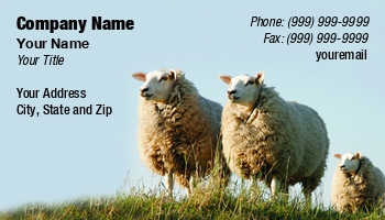 Featured Designs |--| Animal | At249300 | Fleece | Flock | Grass | Graze | Grazing | Green | Group | Hills | Jolanta Mayerberg | Lamb | Livestock | Mammal | Meadow | Mountain | Pasture | Rural | Sheep | Sheeps | Sheepskin Specialties | Summer | Taxidermist | White | Wool