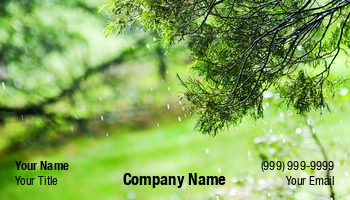 Featured Designs | Nature | Professional | Travel |--| Abstract | At250103 | Background | Beautiful | Branch | Drop | Environmental | Forest | Freshness | Green | Heavy | Landscape | Leaf | Natural | Photography | Plant | Rain | Raindrop | Season | Spring | Tim Hester | Tourism | Tree | Vacation | Water