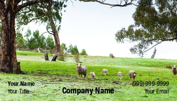 Animals | Domestic | Farm | Featured Designs | Nature | Professional | Travel |--| Agriculture | Animal | At250104 | Environmental | Farming | Field | Flock | Grazing | Green | Image | Landscape | Livestock | Mountain | Rural | Season | Sheep | Snow | Tim Hester | Tree | Winter | Wool