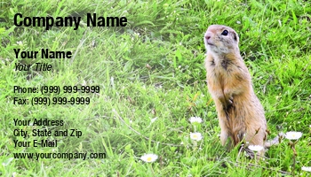 Featured Designs | Wild |--| Animal | At251267 | Burrow | Chuck | Curious | Endangered | European | Fauna | Flowers | Funny | Furry | Grass | Ground | Groundhog | Mammal | Marmot | Meadow | Natural | Outside | Pet Portrait | Rodent | Rodents | Sit | Squirrel | Vladimir Jovanovic | Whiskers | Wildlife | Woodchuck | Zoo | Zoologist