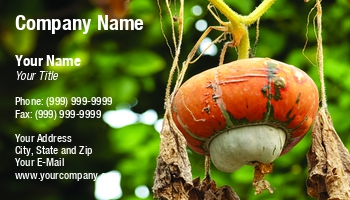 Farm | Featured Designs | Hospitality |--| Agricultural Science Teacher | Agriculture | At251492 | Autumn | Biological Science Teacher | Fall | Farming | Fresh | Gourd | Halloween | Hanging | Harvest | Harvested | Image | Leaf | Leaves | Organic | Plant | Pumpkins | Sinisa Botas