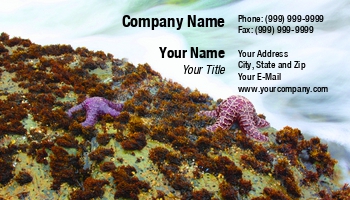 Featured Designs | Hospitality |--| Allyson Ricketts | At251493 | Caribbean | Coast | Exotic | Hatchery | Holiday | Island | Life | Marine | Marine Biology | Natural | Paradise | Resort | Sand | Scene