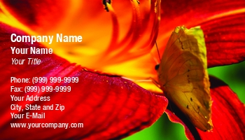 Featured Designs | Floral | Nature |--| Animal | At251923 | Beautiful | Biological | Biology | Bloom | Bug | Butterfly | Cloudless | Colorful | Entomological | Entomology | Eyespot | Feeding | Flora | Flower | Flowers | Henrik Lehnerer | Insect | Lemon Yellow | Lilly | Macro | Migration | Native | Natural | Perched | Phoebis | Red | Sennae | Sitting | Spring | Sulphur | Wing