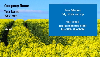 Featured Designs |--| Agriculture | At252050 | Blooming | Blossom | Colorful | Crop | Cultivated | Dawn | Evening | Field | Flower | Grass | Greenhouse | Growth | Land | Landscaped | Majestic | Meadow | Monoculture | Morning | Panorama | Plant | Stuart Sneddon | Vegetation