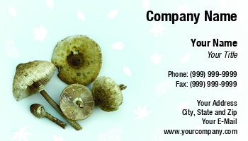 Featured Designs | Food | Hospitality | Nature |--| At252282 | Autumn | Background | Cap | Delicacy | Delicate | Edible | Field | Flora | Fresh | Fritz Hiersche | Fungi | Gills | Gourmet | Image | Kent | Leaves | Macrolepiota Procera | Mushroom | Mushrooms | Natural | Parasol | Parasol Mushrooms | Plant | Raw | Vegetables