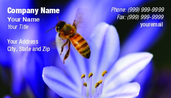 Featured Designs | Garden | Nature | Trades |--| Africanus | Agapanthus | At252331 | Backgrou | Beautiful | Bee | Bloom | Blossom | Botanical | Bud | Colorful | Design | Element | Entomologist | Flower | Flowers | Henrik Lehnerer | Insect | Natural | Nile | Outdoor | Perennial | Petal | Plant | Pollen | Purple | Seasonal | Spring | Summer