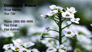 Featured Designs | Garden | Nature | Trades |--| Agapanthus | Alyssum | At252332 | Backgrou | Beautiful | Bee | Bloom | Blossom | Botanical | Bud | Clear | Colorful | Crystal | Design | Element | Flower | Flowers | Group | Henrik Lehnerer | Image | Natural | Nile | Outdoor | Perennial | Petal | Plant | Pollen | Seasonal | Spring | White