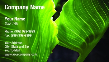Featured Designs |--| At252343 | Botanical | Ecology | Environment | Exotic | Flora | Foliage | Fresh | Gr | Green | Harmony | Leaf | Life | Macro | Natural | Organic | Paradise | Pattern | Plant | Purity | Sinisa Botas | Spring | Texture | Textured | Tropical