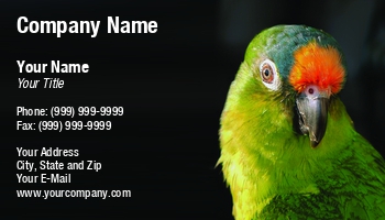 Animals | Featured Designs | Food | Grooming | Hospitality | Nature |--| Assistant | At250398 | Beak | Bird | Exotic | Fauna | Feathers | Life | Macaw | Mobile | Parrot | Perry Correll | Pet | Pet Food | Pets | Plumage | Rainforest | Scarlet | Shop | Sitter | Technician | Tropical | Vertebrate | Veterinary | Wing