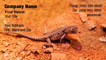 Desert | Featured Designs | Nature |--| Alertness | Amphibian | Animal | At253140 | Blooded | Camouflage | Card | Catchlight | Chameleon | Claws | Crawl | Creature | Eco | Expression | Fierce | Fritz Hiersche | Gecko | Great | Handlers | Iguana | Image | Lizard | Lovers | Pet | Reptile | Reptilian | Retailers | Silhouette | Squamata | Tail