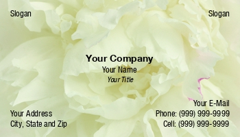 Beauty | Featured Designs | Floral | Nature |--| Aster | At253779 | Autumn | Background | Backgrounds | Beautiful | Bloom | Blossom | Botanic | Bright | Colored | Cultivated | Daisy | Design | Florist | Flower | Flowers | Gardening | Growth | Image | Leaf | Macro | Meadow | Pattern | Petals | Plant | Season | Twoellis | Yellow