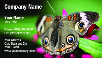 Featured Designs | Nature |--| Animal | At250486 | Beautiful | Brown | Buckeye | Butterfly | Colorful | Colors | Common | Dof | Entomologist | Environment | Eyespots | Flower | Green | Henrik Lehnerer | Insect | Leaf | Lepidoptera | Macro | Natural | Pretty | Shallow | Sitting | Summer | Symmetry | Wildlife | Wing | Yard