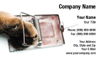 Animals | Domestic | Featured Designs |--| Animal | At254190 | Background | Bait | Captured | Cat | Catch | Cheat | Circumvention | Claws | Concept | Craftiness | Danger | Deception | Equipment | Fault | Fear | Feline | Hunter | Image | Kitten | Kitty | Mousetrap | Outsmart | Painful | Paradox | Paw | Sinisa Botas | White | Wildlife Removal