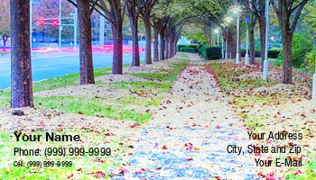 Creative | Entrepreneurs | Featured Designs | Nature | Paths |--| Alex Grichenko | At254327 | Autumn | Background | Beautiful | Business | Canopy | Card | Colorful | Deciduous | Fall | Foliage | Forest | Idyllic | Leaves | Natural | Park | Pathway | Peaceful | Photography | Road | Rural | Scenery | Season | Template | Trees | Vibrant | Vivid