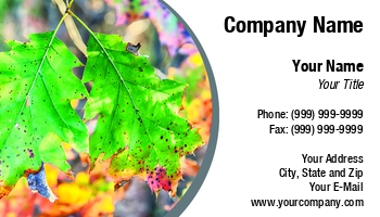 Featured Designs | Nature | Professional | Travel |--| Alex Grichenko | At254839 | Autumn | Backgrounds | Beautiful | Beech | Collection | Colorful | Ecology | Environment | Fall | Foliage | Forest | Harmony | Idyllic | Image | Lake | Lands | Landscape | Leaves | Life | Maple | Meadow | Peaceful | Rural | Scenery | Season | Sunbeam | Tranqui