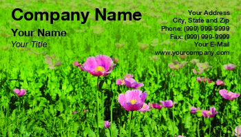 Featured Designs | Nature | Wild |--| Agriculture | At255320 | Beautiful | Blossom | Botanical | Concept | Design | Environmental | Field | Flora | Florist | Flowers | Fritz Hiersche | Greenhouse | Landscape | Meadow | Natural | Petal | Plants | Pod | Poppies | Poppy | Rural | Seasons | Sunny | Taken | Tranquil | Wi