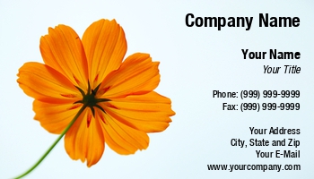 Featured Designs | Floral | Nature |--| Aroma | At255766 | Background | Blossom | Bouquet | Climate | Colourful | Composition | Culture | Decoration | Element | Filed | Florist | Flower | Flowers | Focus | Freshness | Gorgeous | Guangzhi Shi | Image | Landscape | Macro | Meadow | Orange | Petal | Polynesian | Scene | Spa | Summer | Tropical